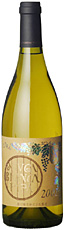 ARUGA BLANCA PIPA